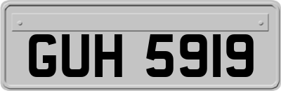 GUH5919