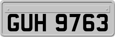 GUH9763