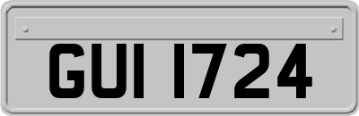 GUI1724
