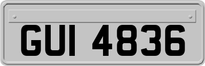 GUI4836