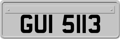 GUI5113
