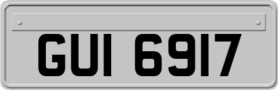 GUI6917