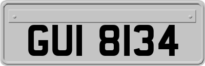 GUI8134