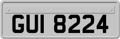 GUI8224