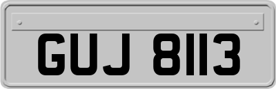 GUJ8113