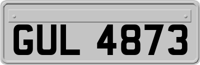 GUL4873