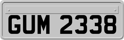 GUM2338