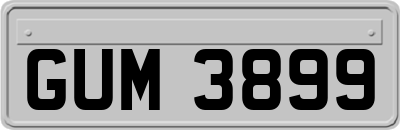 GUM3899
