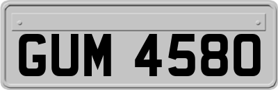 GUM4580