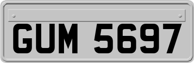 GUM5697