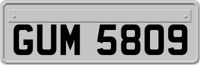 GUM5809