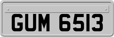 GUM6513