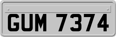 GUM7374