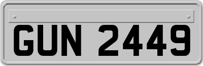 GUN2449