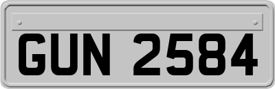 GUN2584