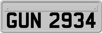 GUN2934