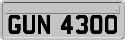 GUN4300
