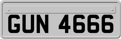 GUN4666