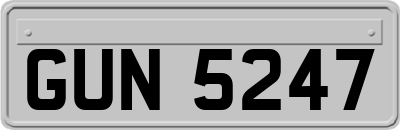 GUN5247