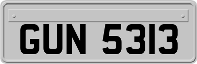 GUN5313