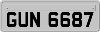 GUN6687