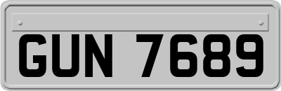 GUN7689