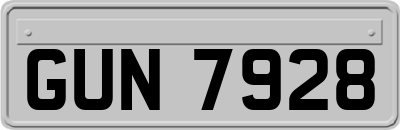 GUN7928