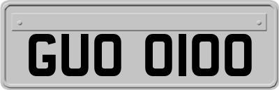 GUO0100