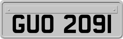 GUO2091