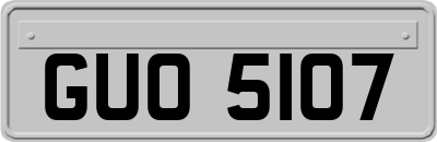 GUO5107