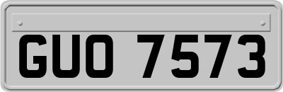 GUO7573