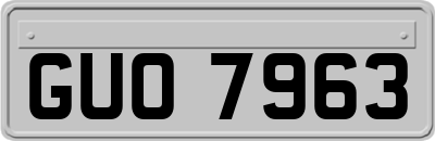 GUO7963