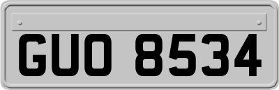 GUO8534