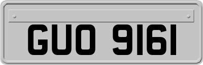 GUO9161