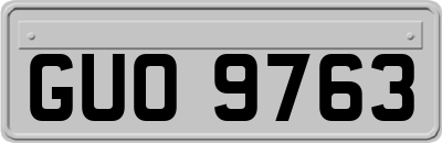 GUO9763