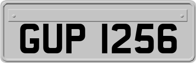 GUP1256