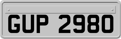 GUP2980