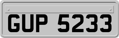 GUP5233