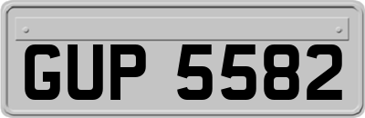 GUP5582