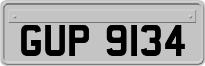 GUP9134