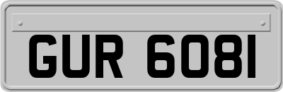 GUR6081