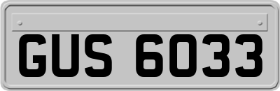 GUS6033