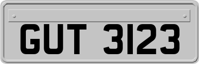 GUT3123
