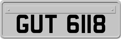 GUT6118