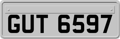GUT6597