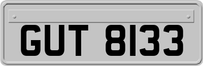 GUT8133