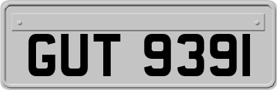 GUT9391