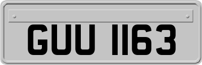 GUU1163