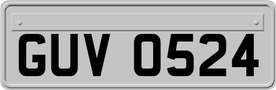 GUV0524