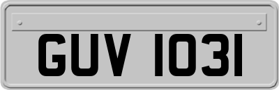 GUV1031